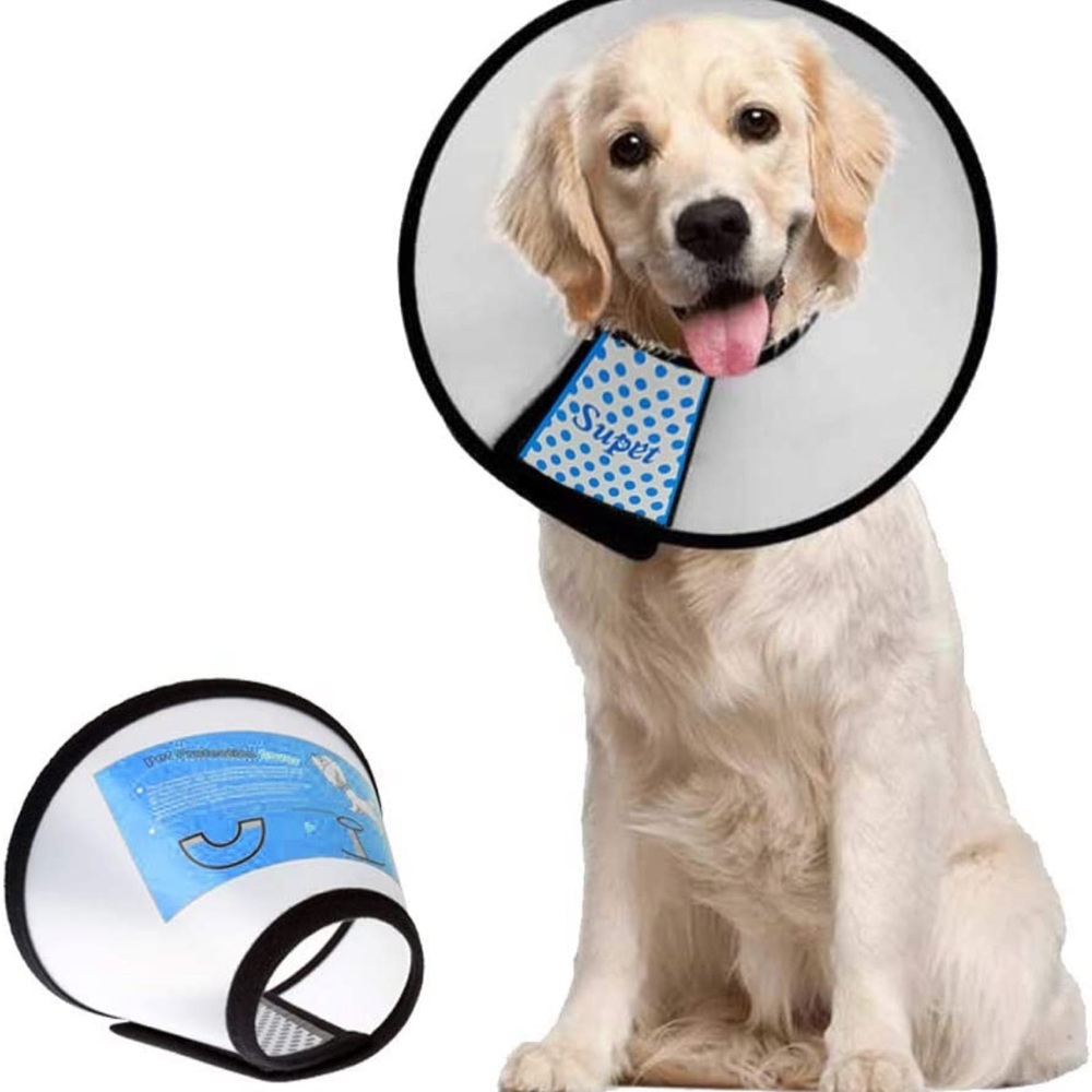 Dog recovery cone size xl